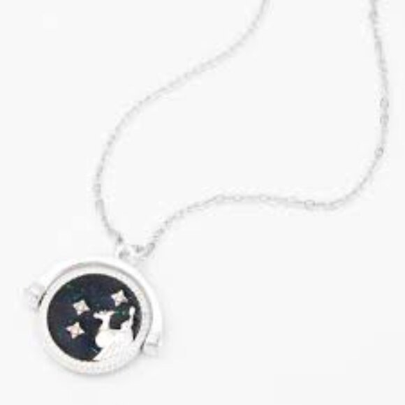 Icing Glow In The Dark Zodiac Spinning Pendant Necklace Capricorn Silver - Picture 1 of 2